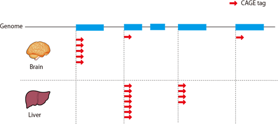 fig01